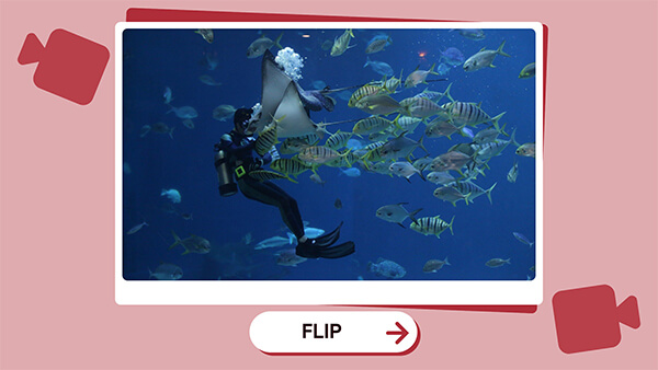 Interactive Video Flashcard template
